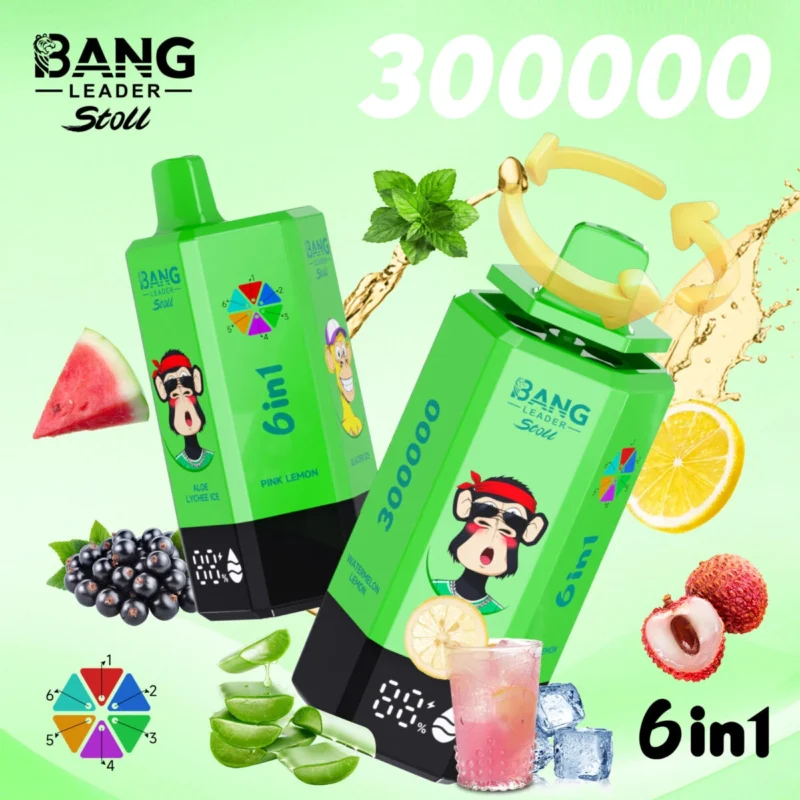 Bang Leader Stoll 300K – 6 in 1 Flavors Disposable Vape | 300,000 Puffs