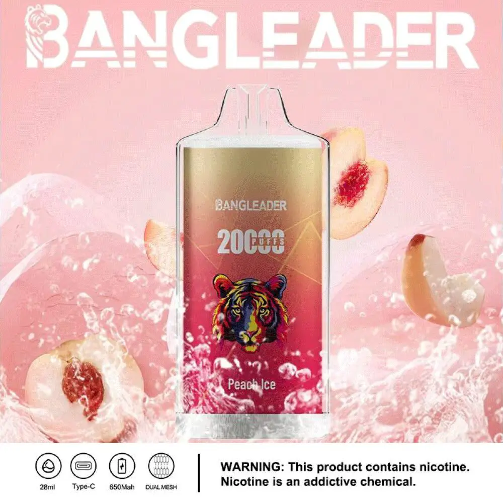 Bang Leader 20000 20K Puffs Newest Product Disposable Vape